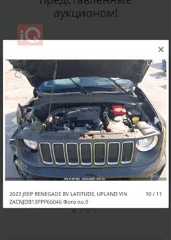 جيب رينيجيد